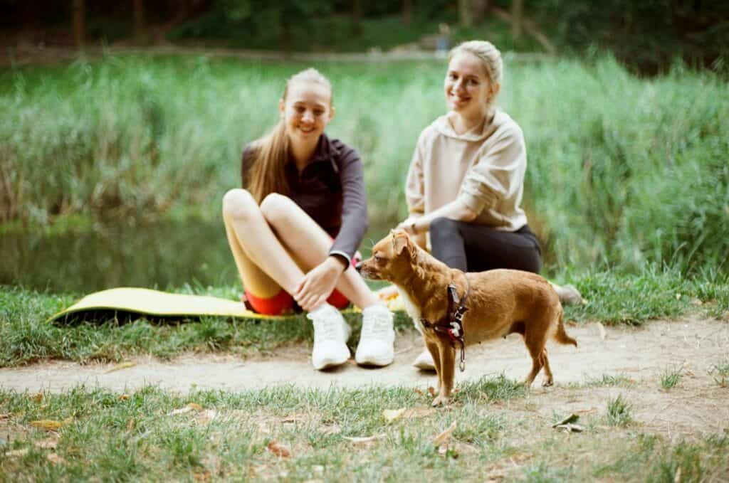 Dog yoga is a natural way to bond