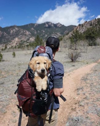 Man With Blue and Maroon Camping Bag